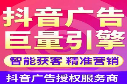 SEM搜索引擎优化成功案例，揭示优化策略与技巧